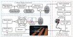 Adaptive Quadruped Locomotion of a Rat Robot Based on a Hierarchical Reinforcement Learning Framework (2023 IEEE ROBIO Best Paper Award in Biomimetics Finalist)