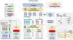 Triple-BERT: Do We Really Need MARL for Order Dispatch on Ride-Sharing Platforms?