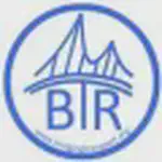 Bridging Transportation Researchers Conference 2025
